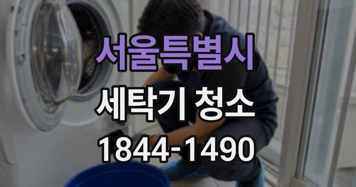 서울특별시 세탁기 청소