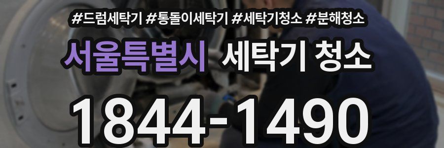 서울특별시 세탁기 청소
