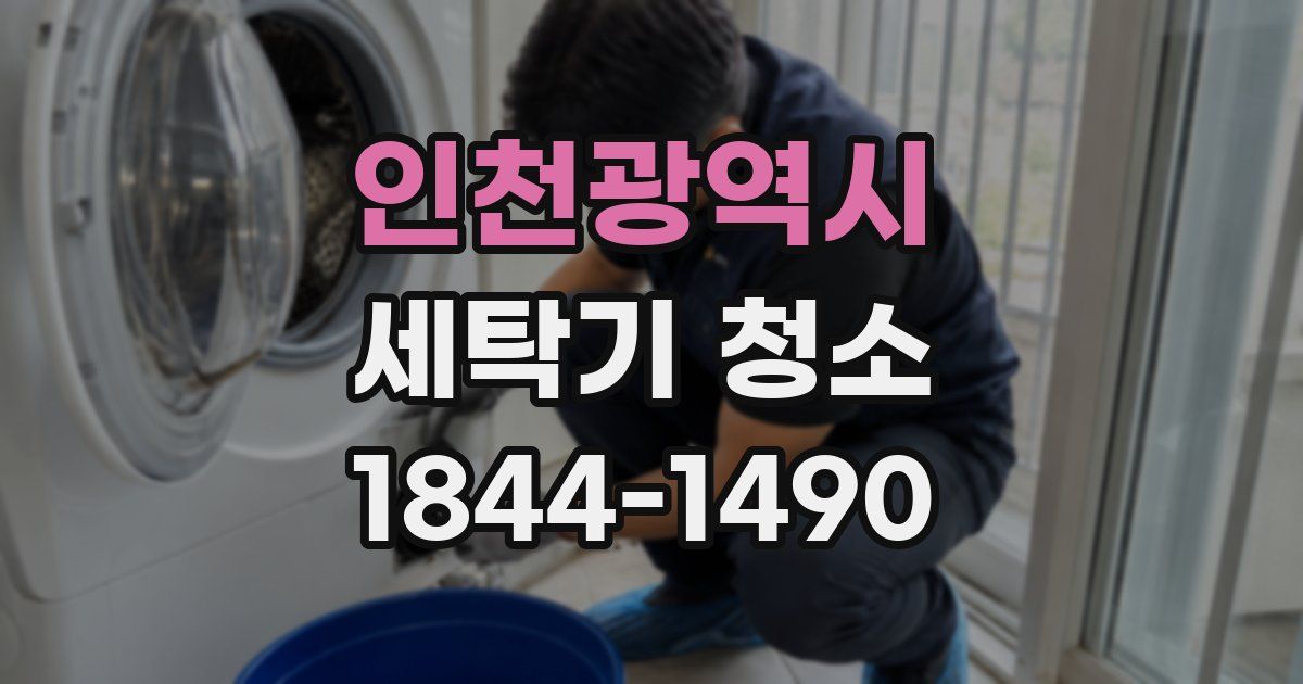 인천광역시 세탁기 청소