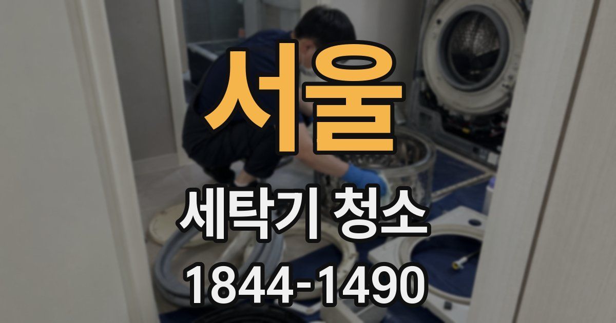 서울 세탁기 청소