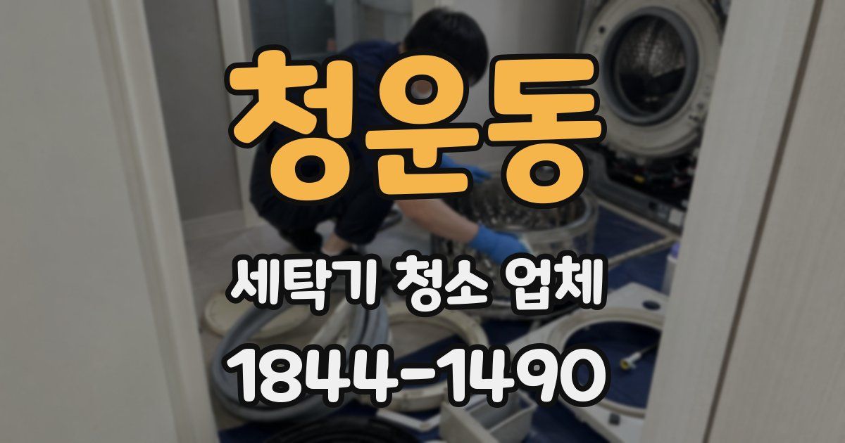 청운동 세탁기 청소 업체