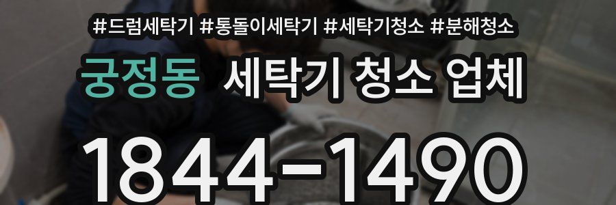 궁정동 세탁기 청소 업체
