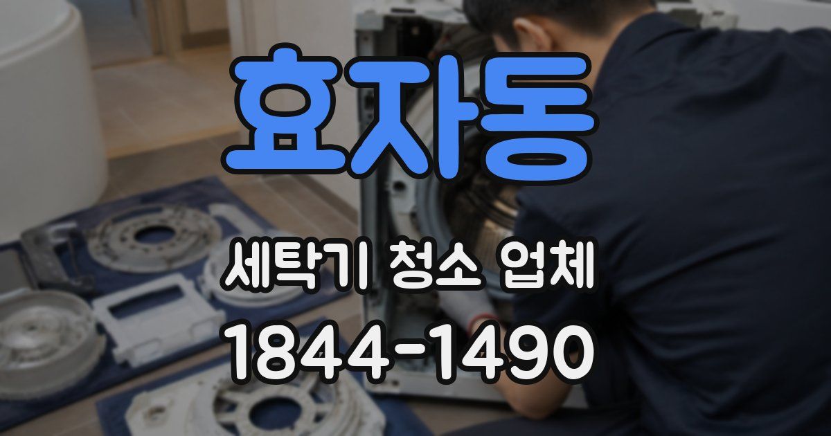 효자동 세탁기 청소 업체