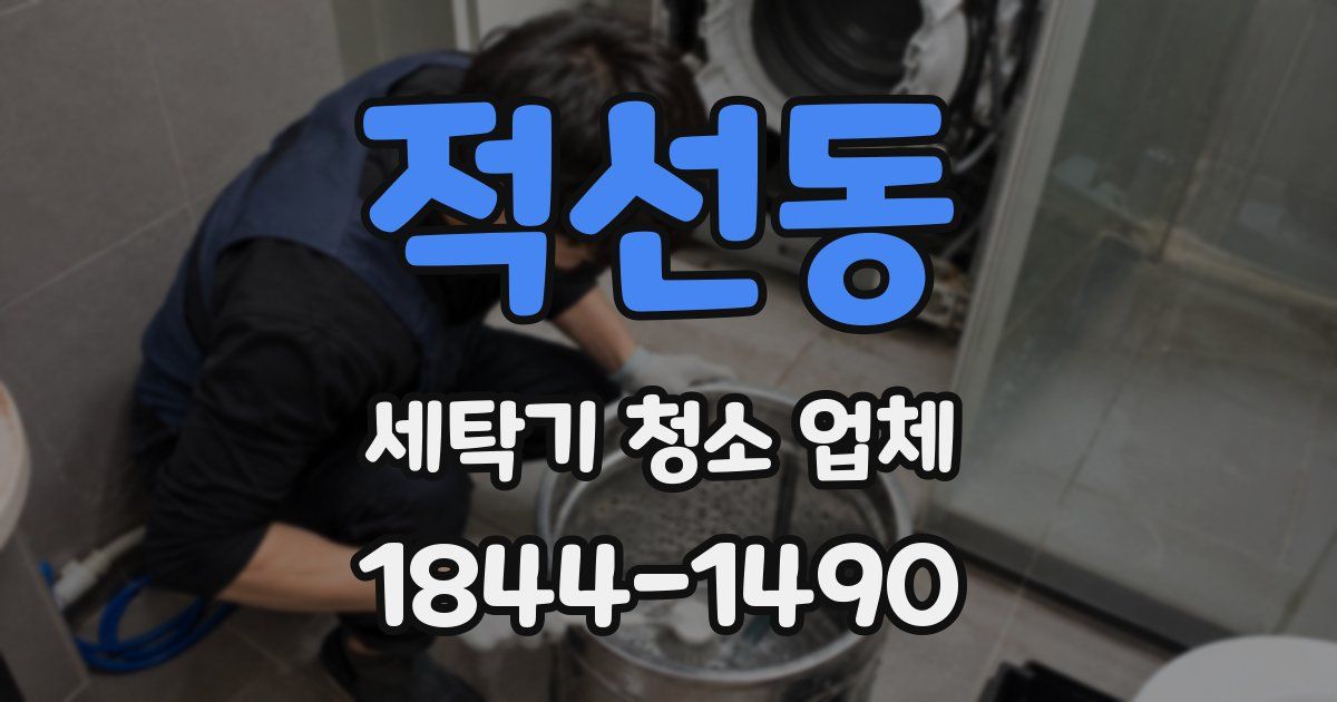 적선동 세탁기 청소 업체