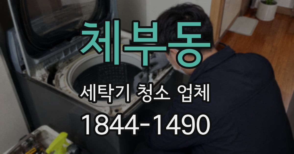체부동 세탁기 청소 업체
