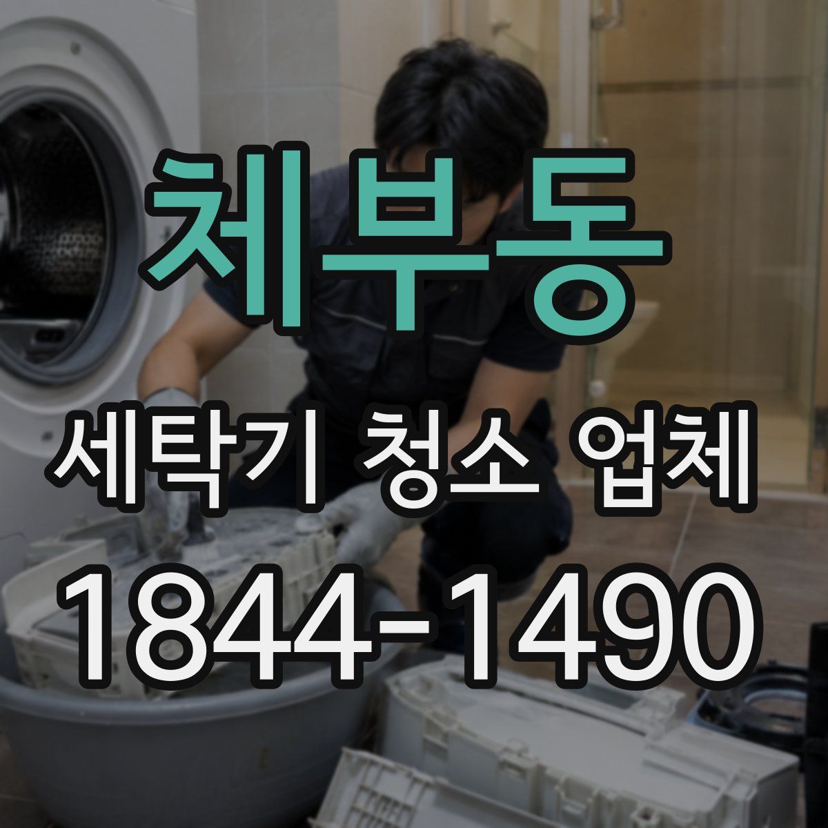 체부동 세탁기 청소 업체