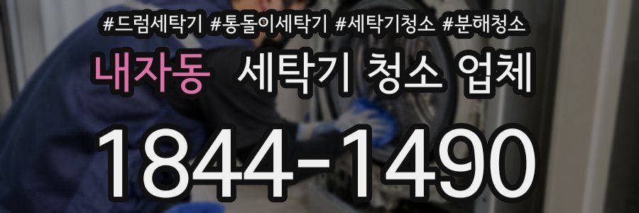 내자동 세탁기 청소 업체