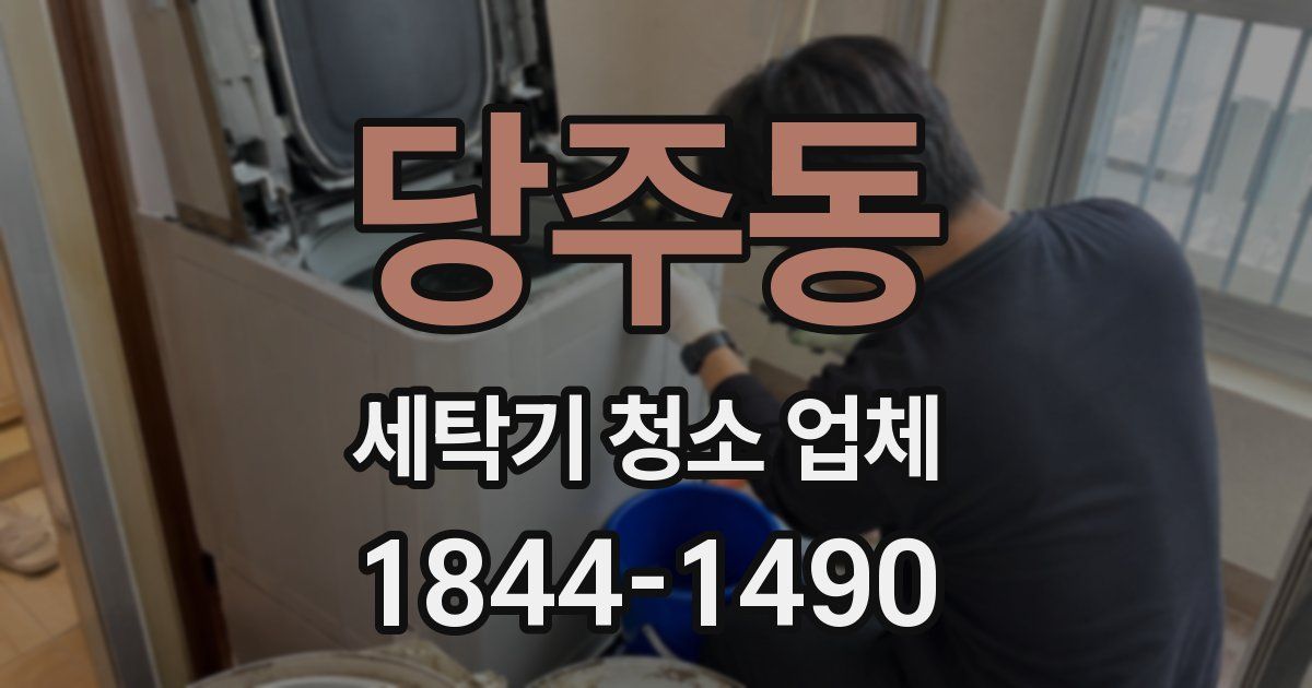 당주동 세탁기 청소 업체