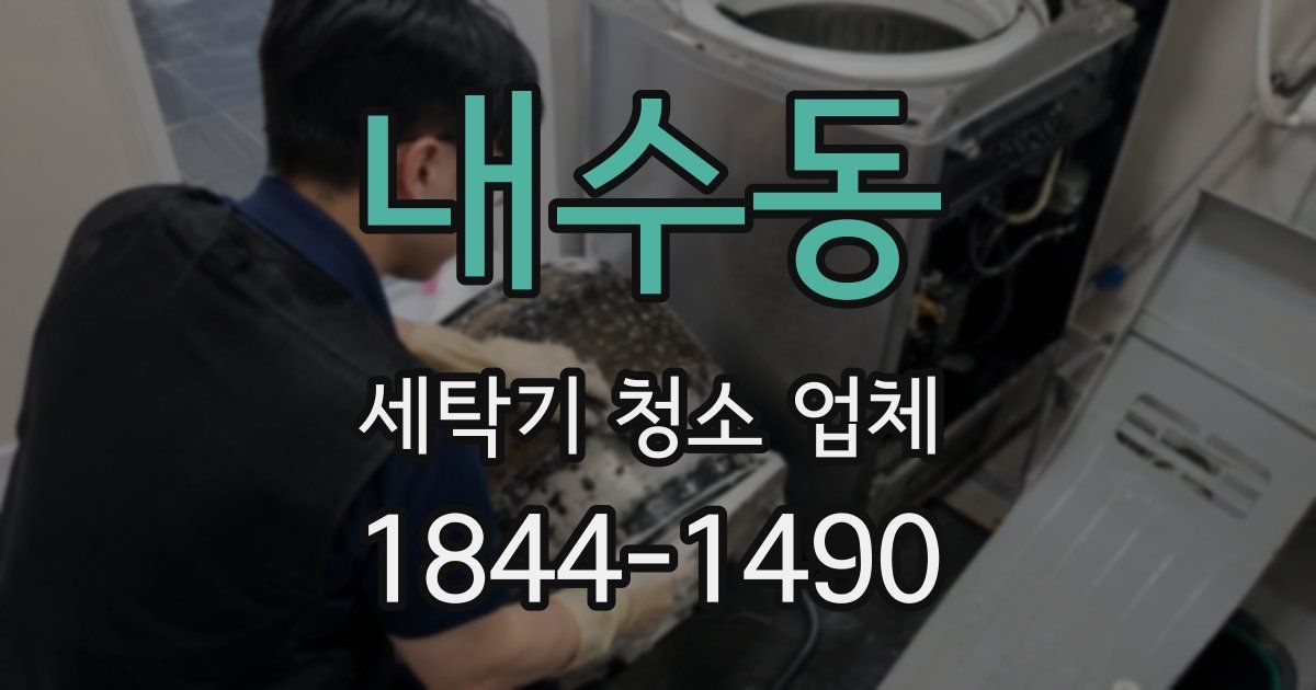 내수동 세탁기 청소 업체