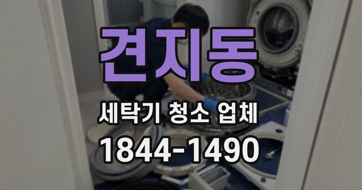 견지동 세탁기 청소 업체