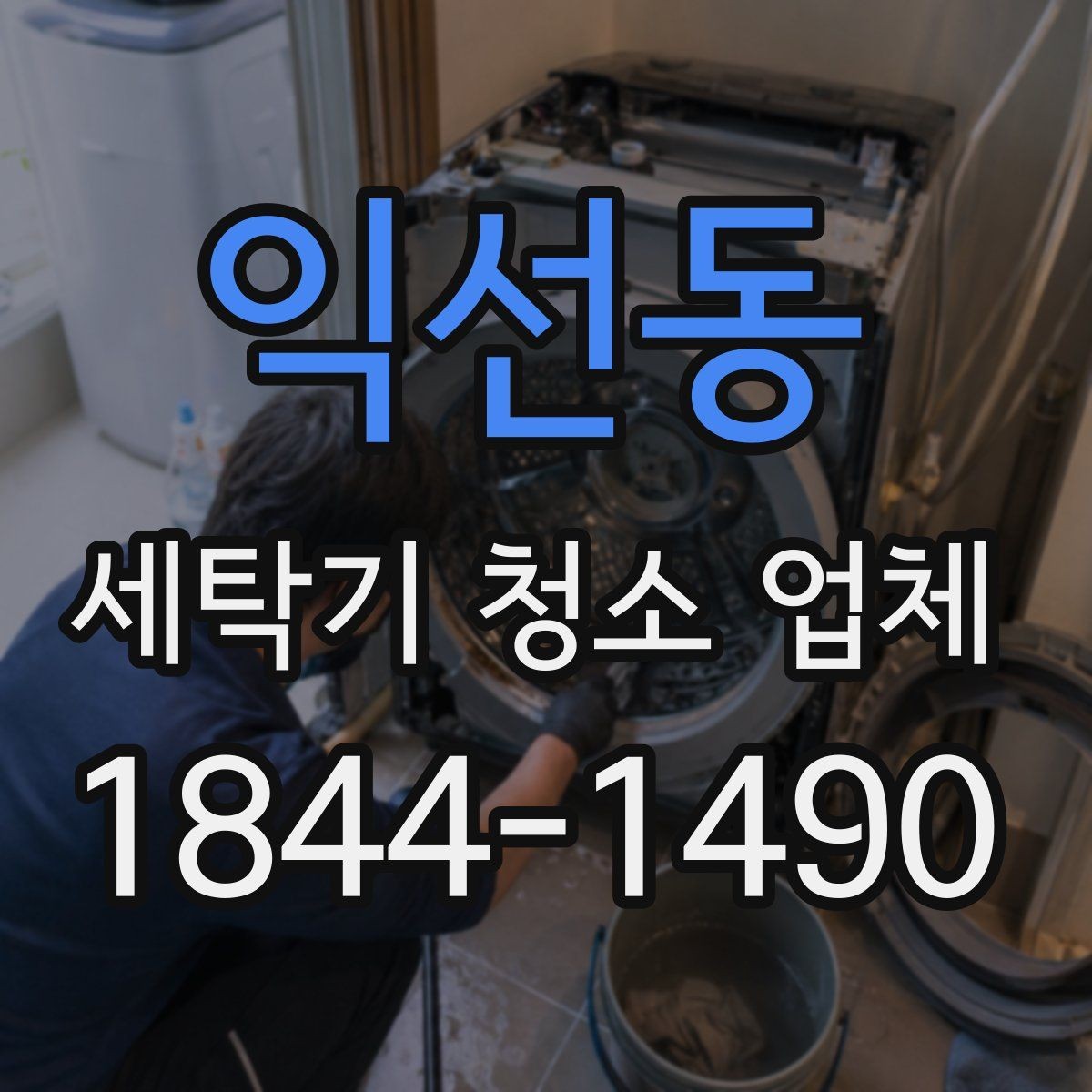 익선동 세탁기 청소 업체 봄철 예약이 늘어나는 이유