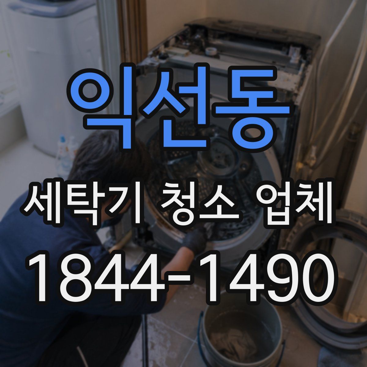 익선동 세탁기 청소 업체