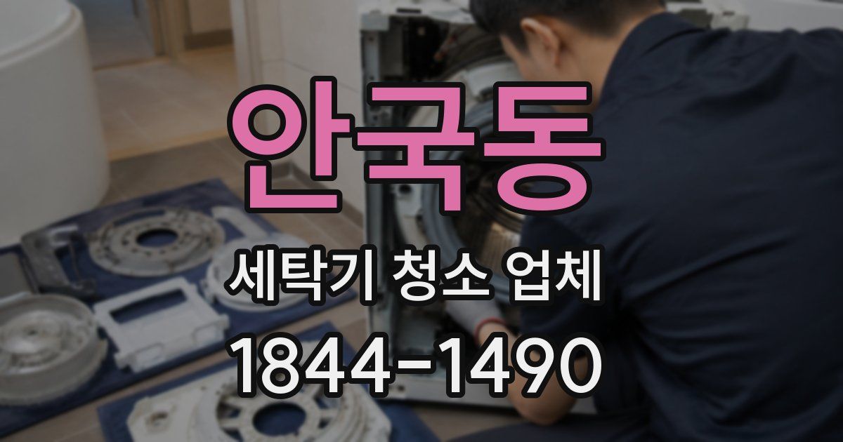 안국동 세탁기 청소 업체