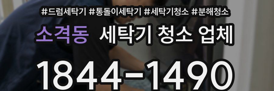 소격동 세탁기 청소 업체