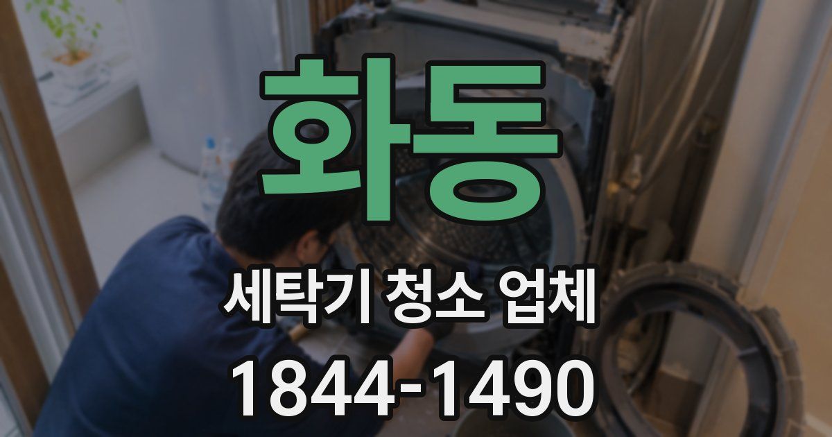 화동 세탁기 청소 업체