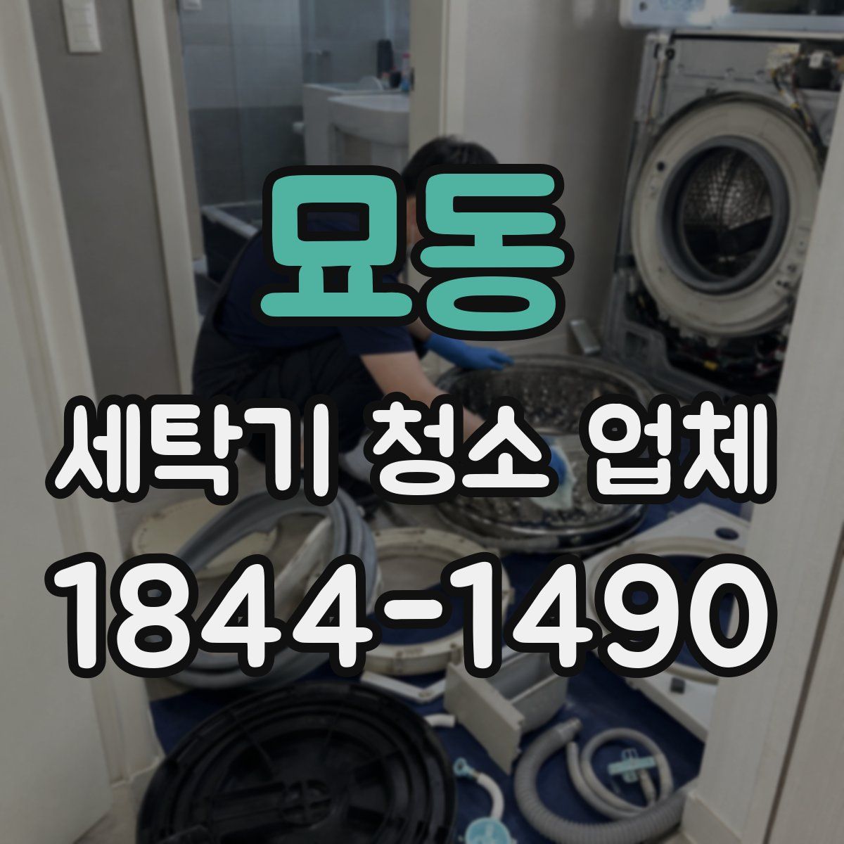 묘동 세탁기 청소 업체