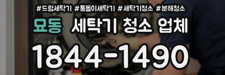 묘동 세탁기 청소 업체