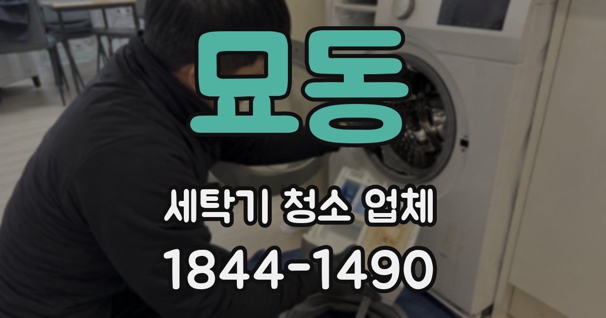 묘동 세탁기 청소 업체