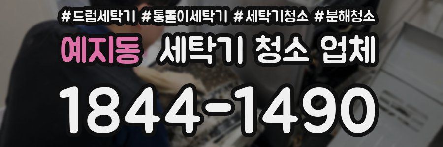 예지동 세탁기 청소 업체