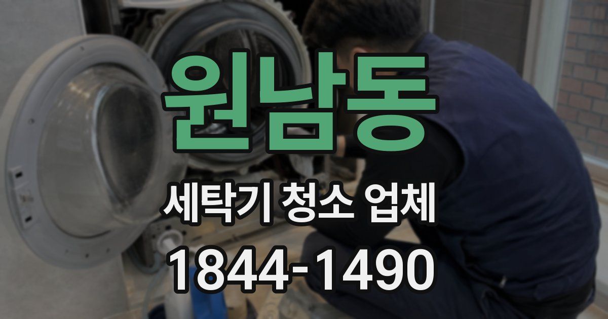 원남동 세탁기 청소 업체
