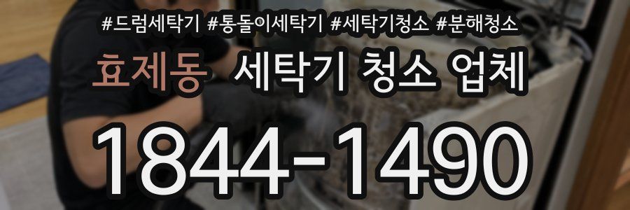 효제동 세탁기 청소 업체