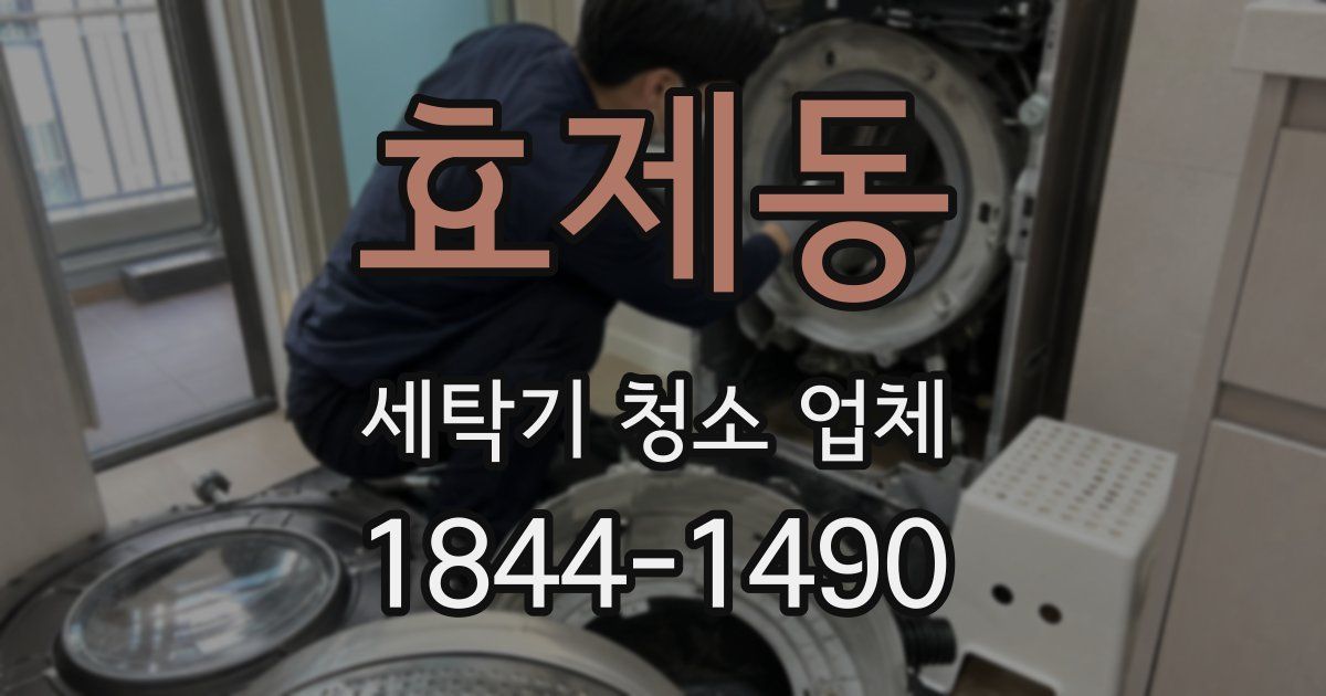 효제동 세탁기 청소 업체