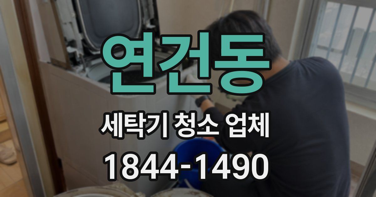 연건동 세탁기 청소 업체