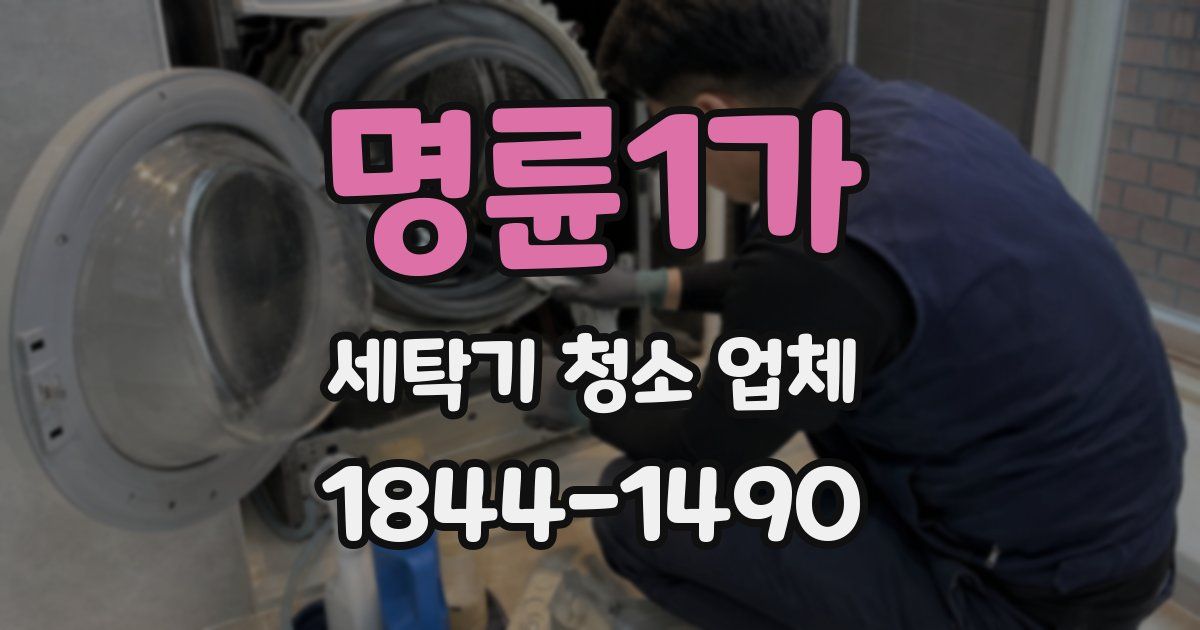 명륜1가 세탁기 청소 업체