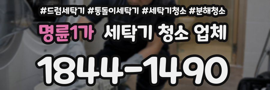 명륜1가 세탁기 청소 업체