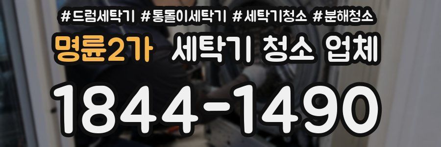 명륜2가 세탁기 청소 업체