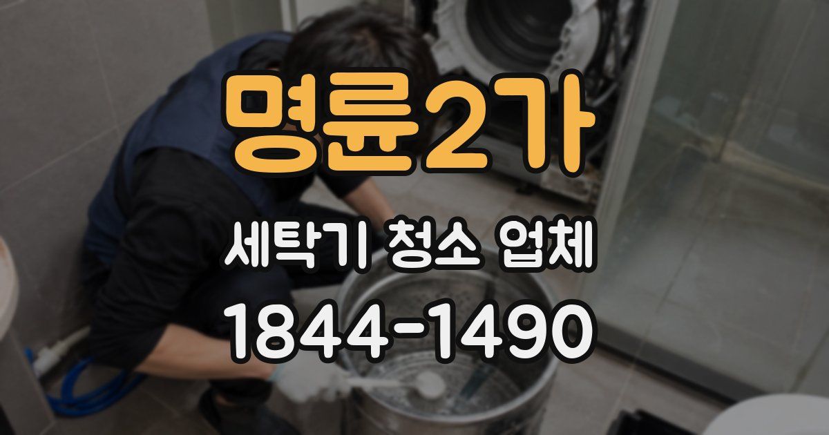 명륜2가 세탁기 청소 업체