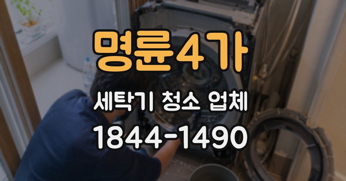명륜4가 세탁기 청소 업체