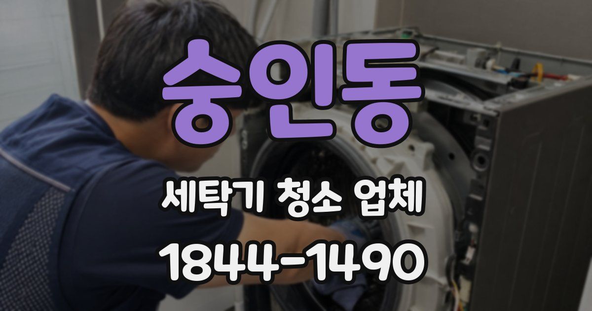 숭인동 세탁기 청소 업체