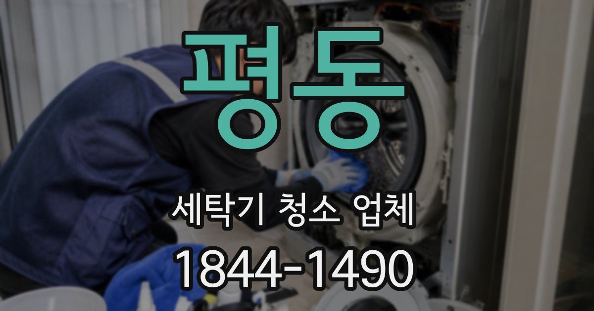 평동 세탁기 청소 업체