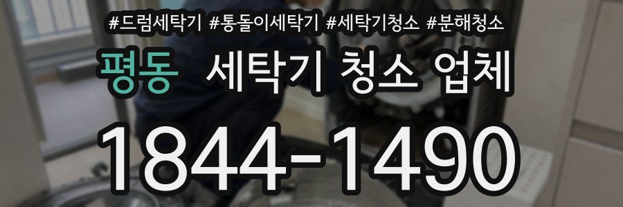 평동 세탁기 청소 업체