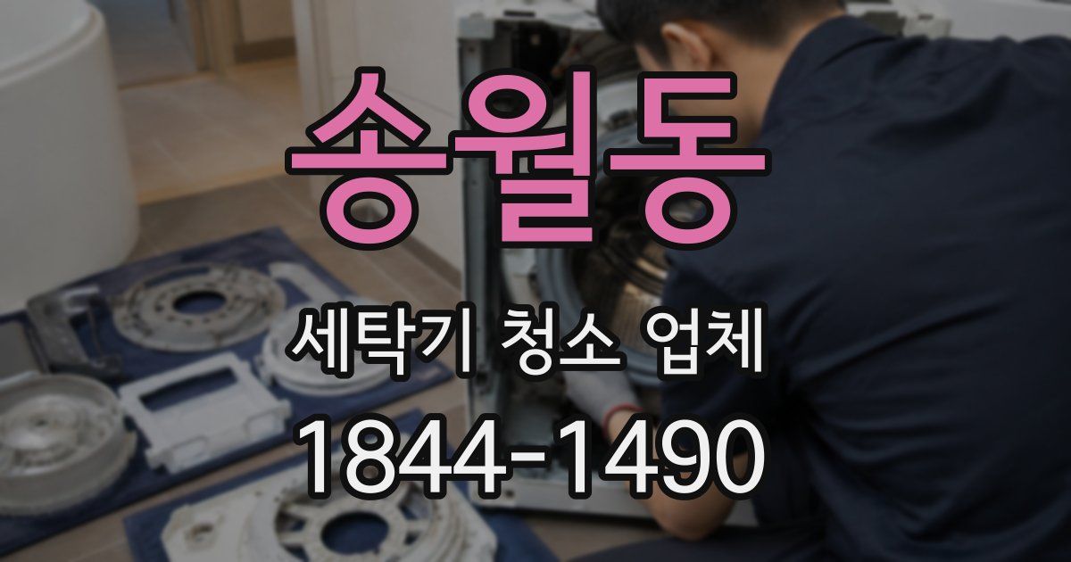 송월동 세탁기 청소 업체