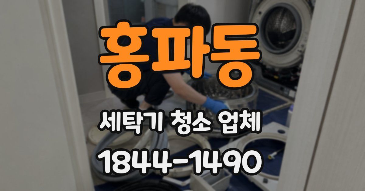 홍파동 세탁기 청소 업체