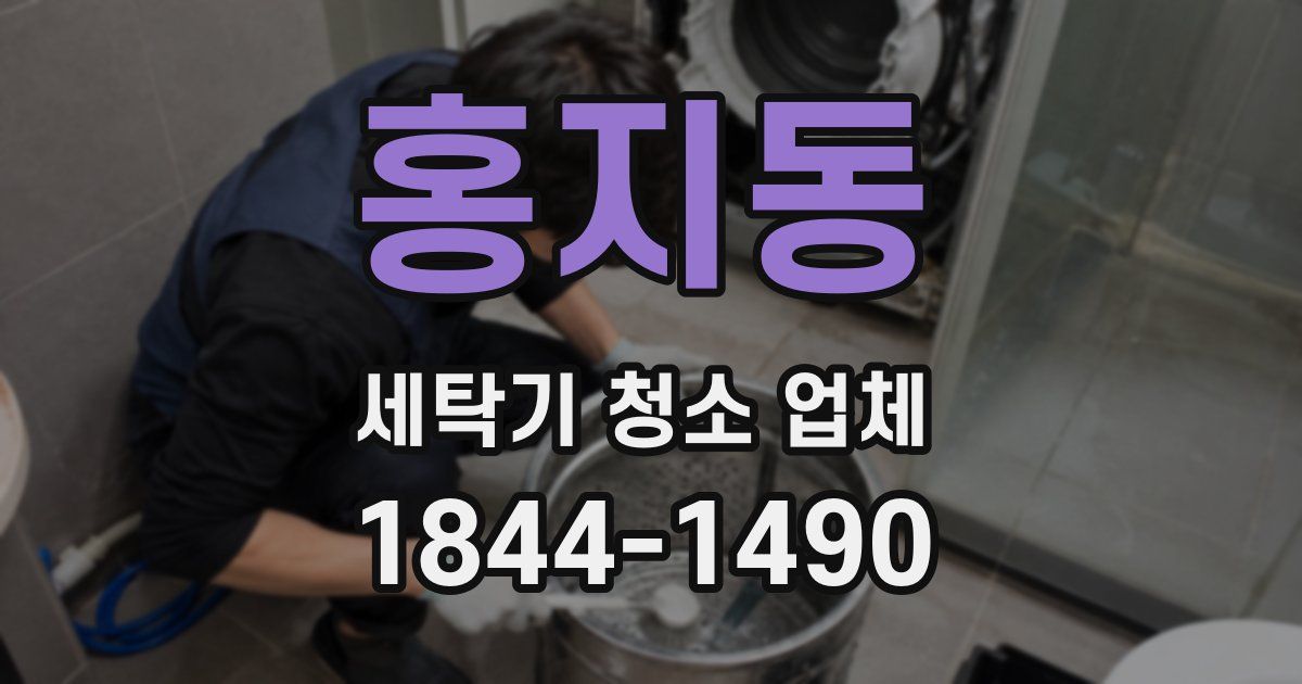 홍지동 세탁기 청소 업체
