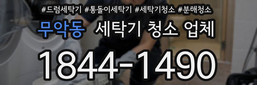 무악동 세탁기 청소 업체