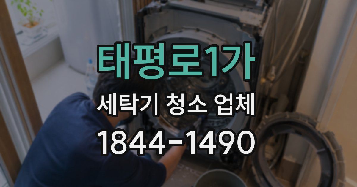 태평로1가 세탁기 청소 업체