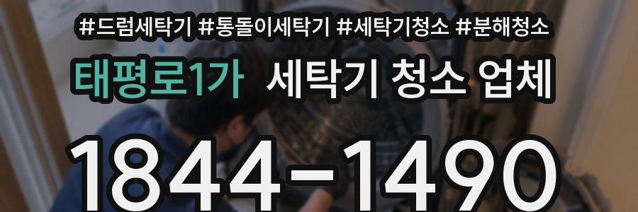태평로1가 세탁기 청소 업체