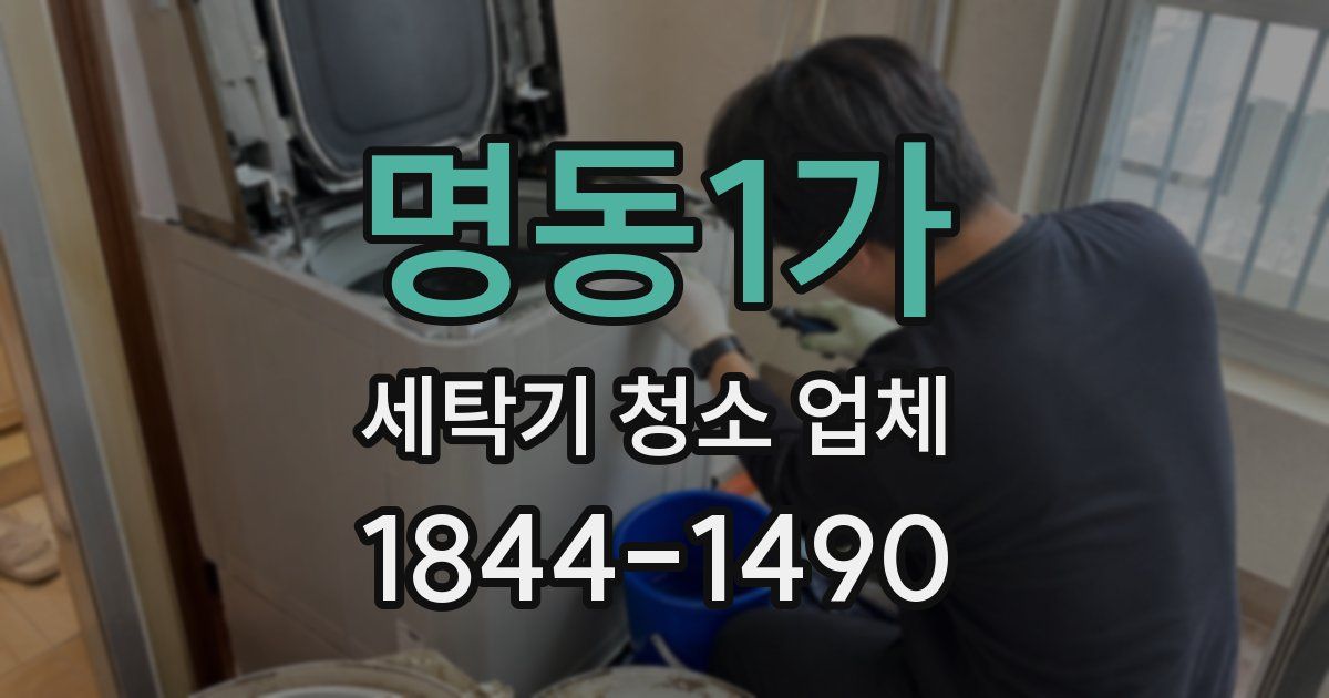 명동1가 세탁기 청소 업체