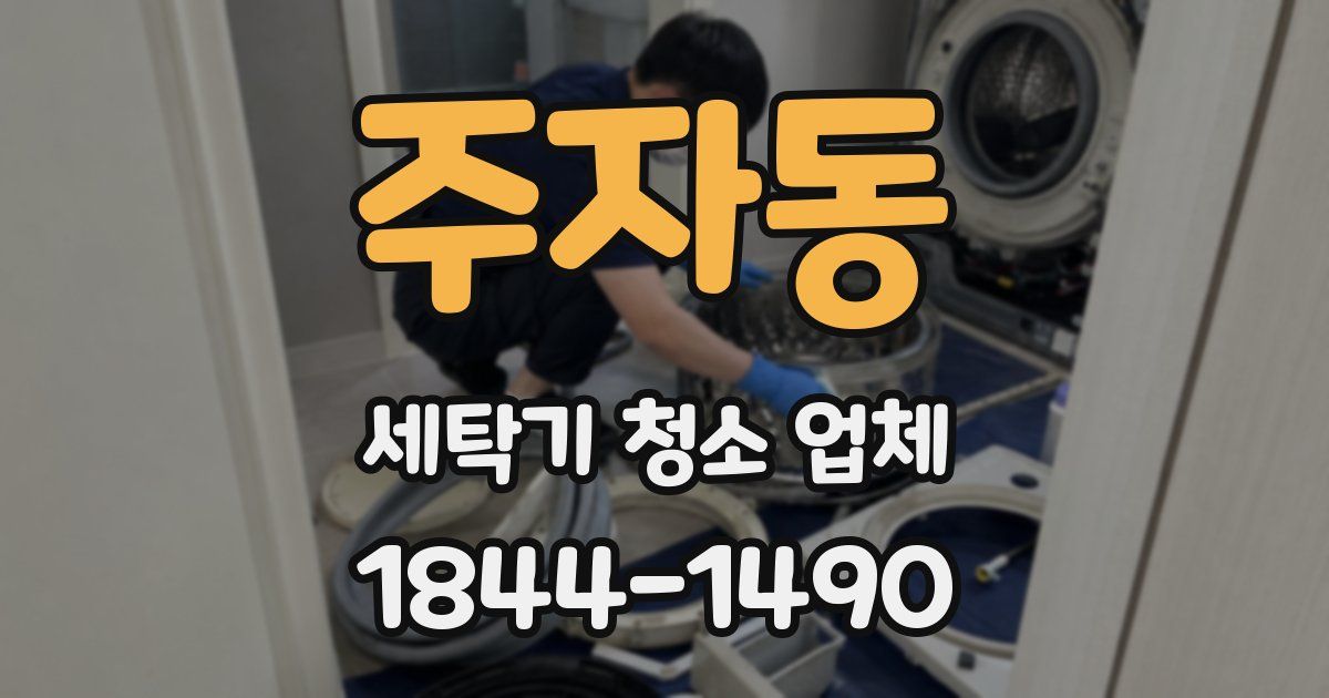 주자동 세탁기 청소 업체