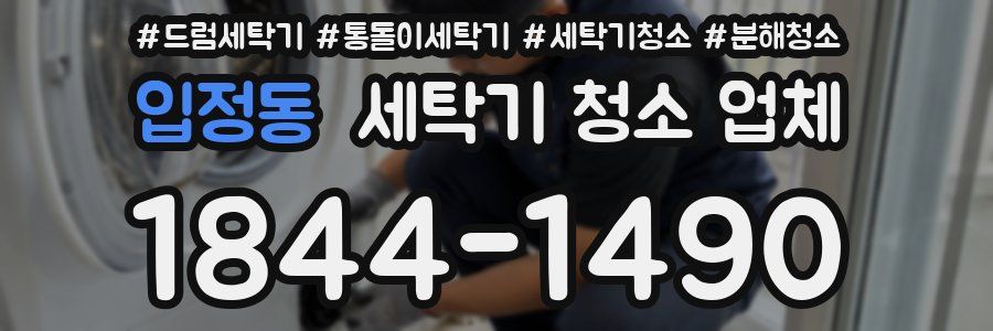 입정동 세탁기 청소 업체