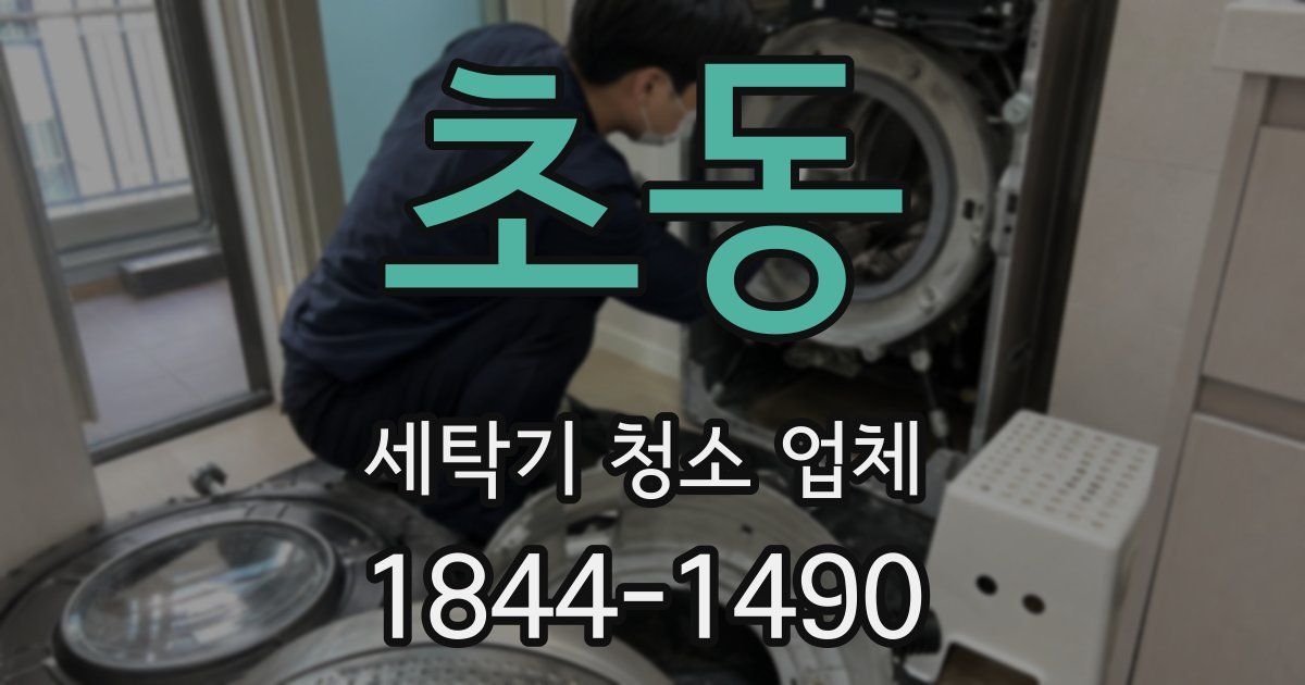 초동 세탁기 청소 업체
