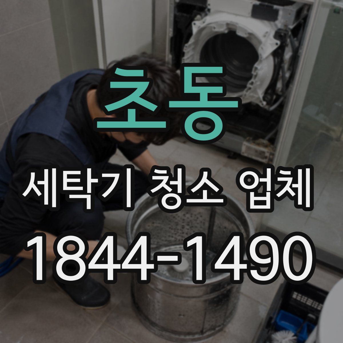 초동 세탁기 청소 업체