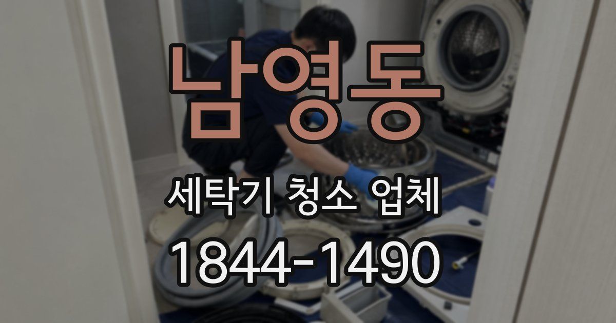 남영동 세탁기 청소 업체