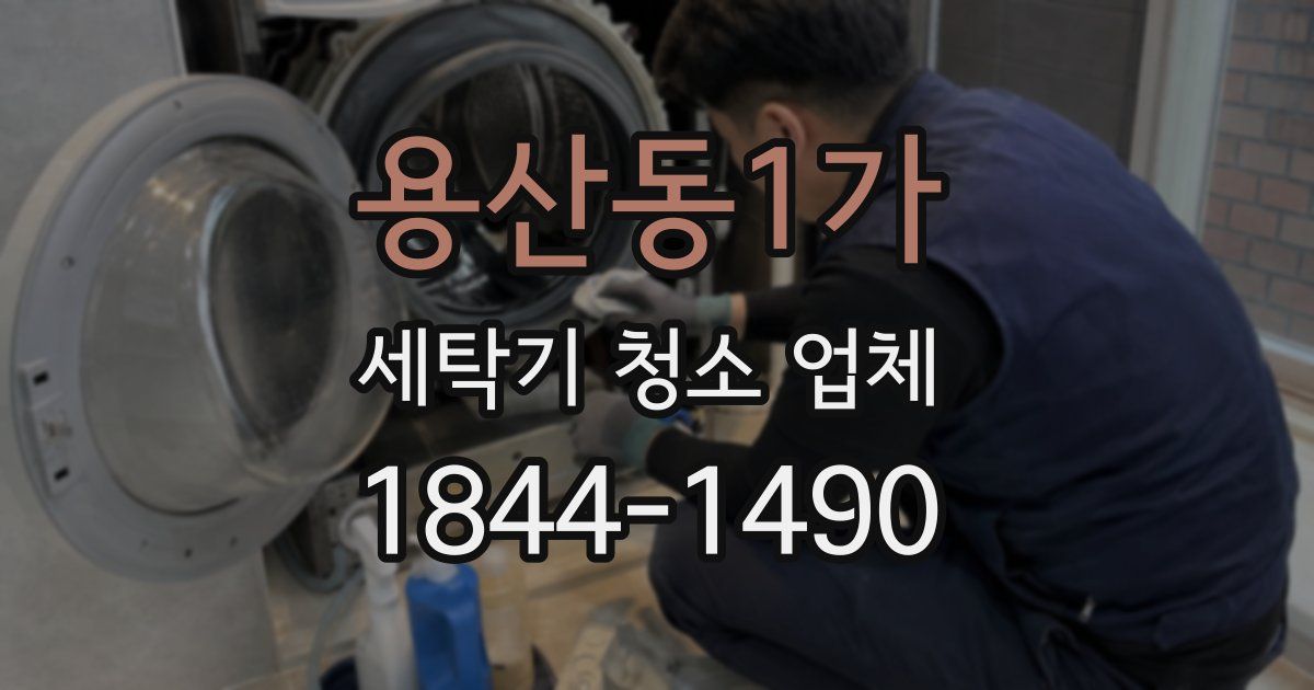 용산동1가 세탁기 청소 업체