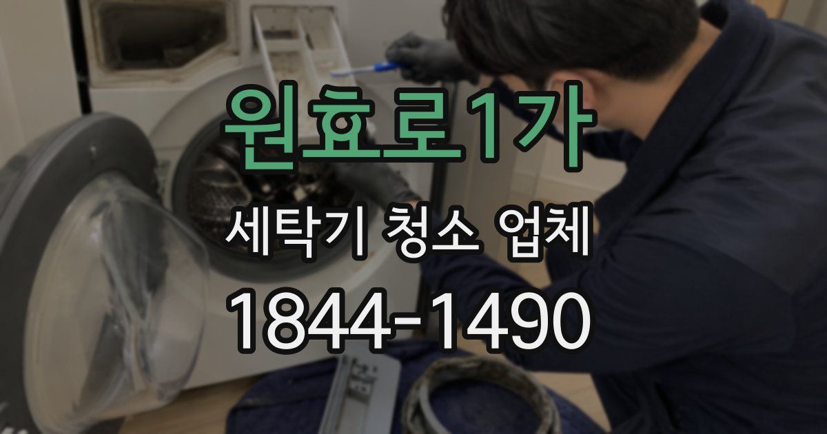 원효로1가 세탁기 청소 업체