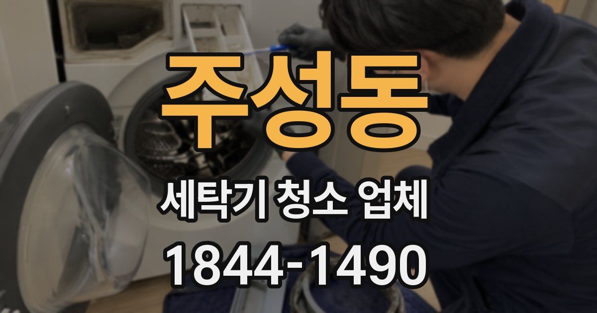 주성동 세탁기 청소 업체